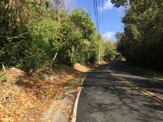 Running possibilities in Christiansted St. Croix hill